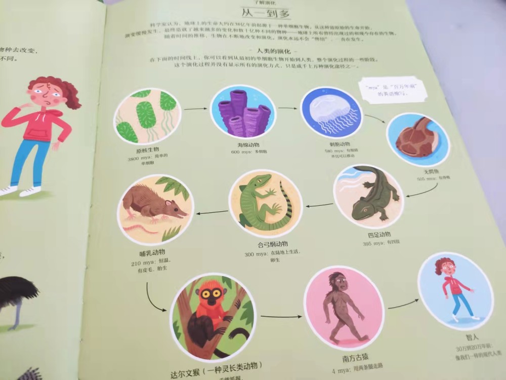 探索香港草药奥秘，2024全年免费资料解析与草药治疗伤害的研究，香港草药奥秘深度探索，资料解析、治疗伤害研究与全年免费资料分享