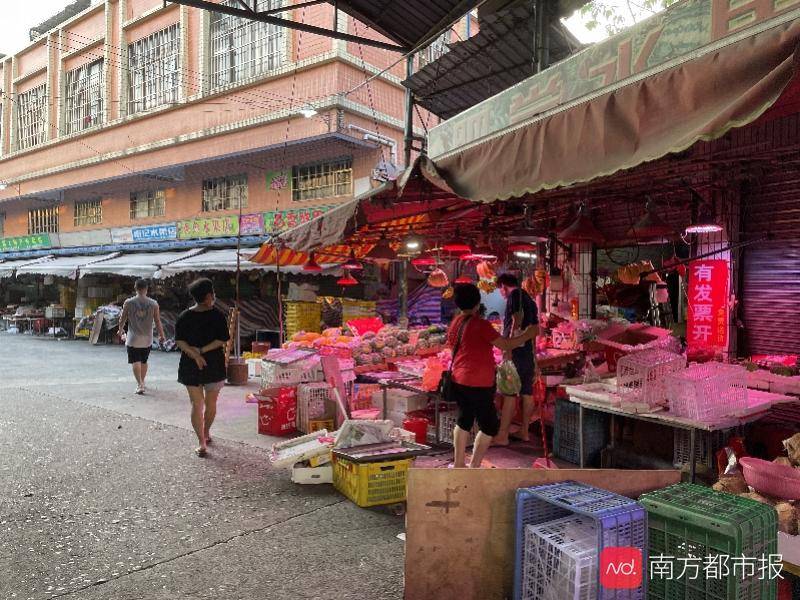 香港二四六开奖免费资料揭秘，第65期开奖现场直击，香港第65期开奖现场直击，二四六开奖免费资料揭秘