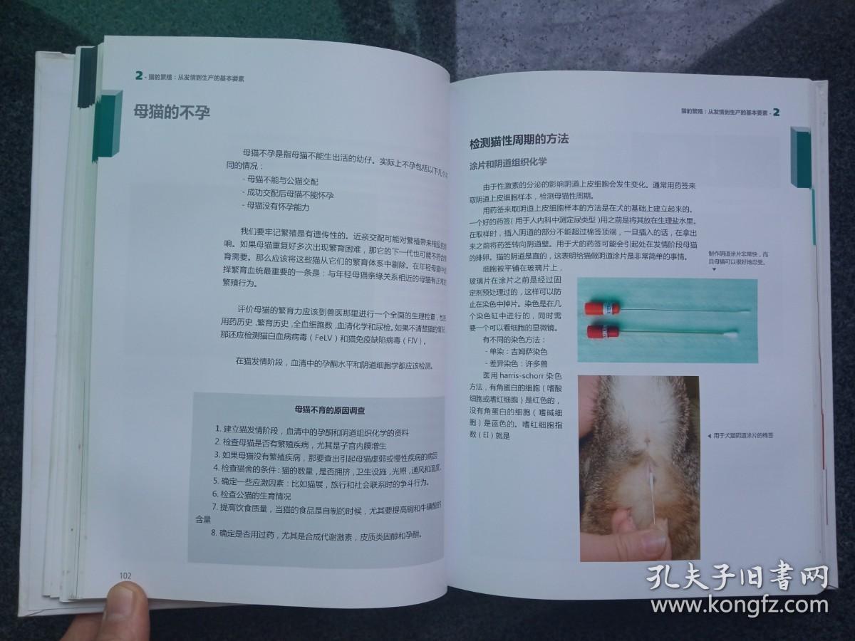 香港开奖直播，探索现代博彩的新纪元，香港开奖直播，开启现代博彩新纪元探索