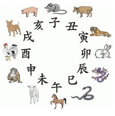 2025年生肖图