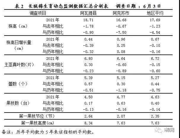 新澳历史开奖最新结果查询表最新汇总报告，新澳历史开奖最新结果查询表汇总报告