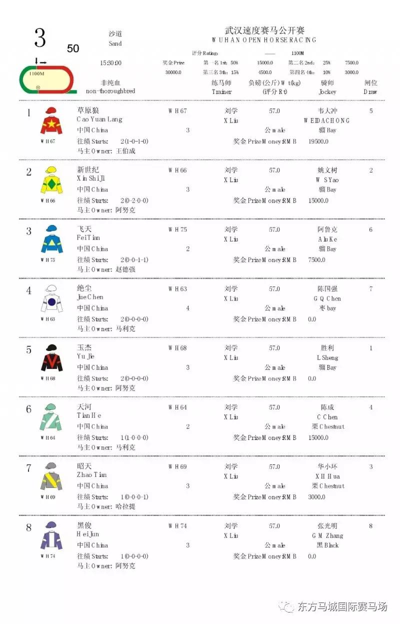 2019正版马会资料大全——探索赛马世界的全面指南，赛马世界全面指南，2019正版马会资料大全