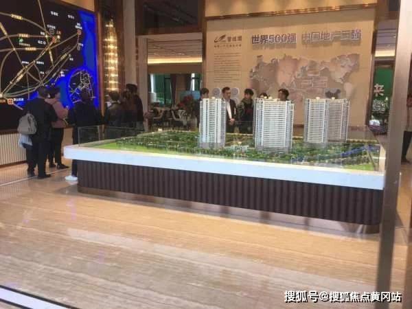 台湾捷克论坛最新IP分析与探讨，台湾捷克论坛最新IP分析与深度探讨