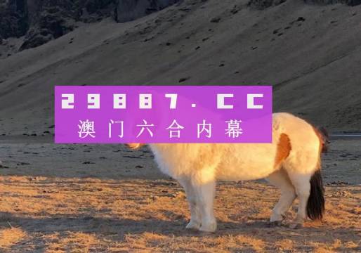 澳门六开彩2024年0063期开奖号码查询及结果分析，澳门六开彩2024年0063期开奖号码查询与结果深度解析