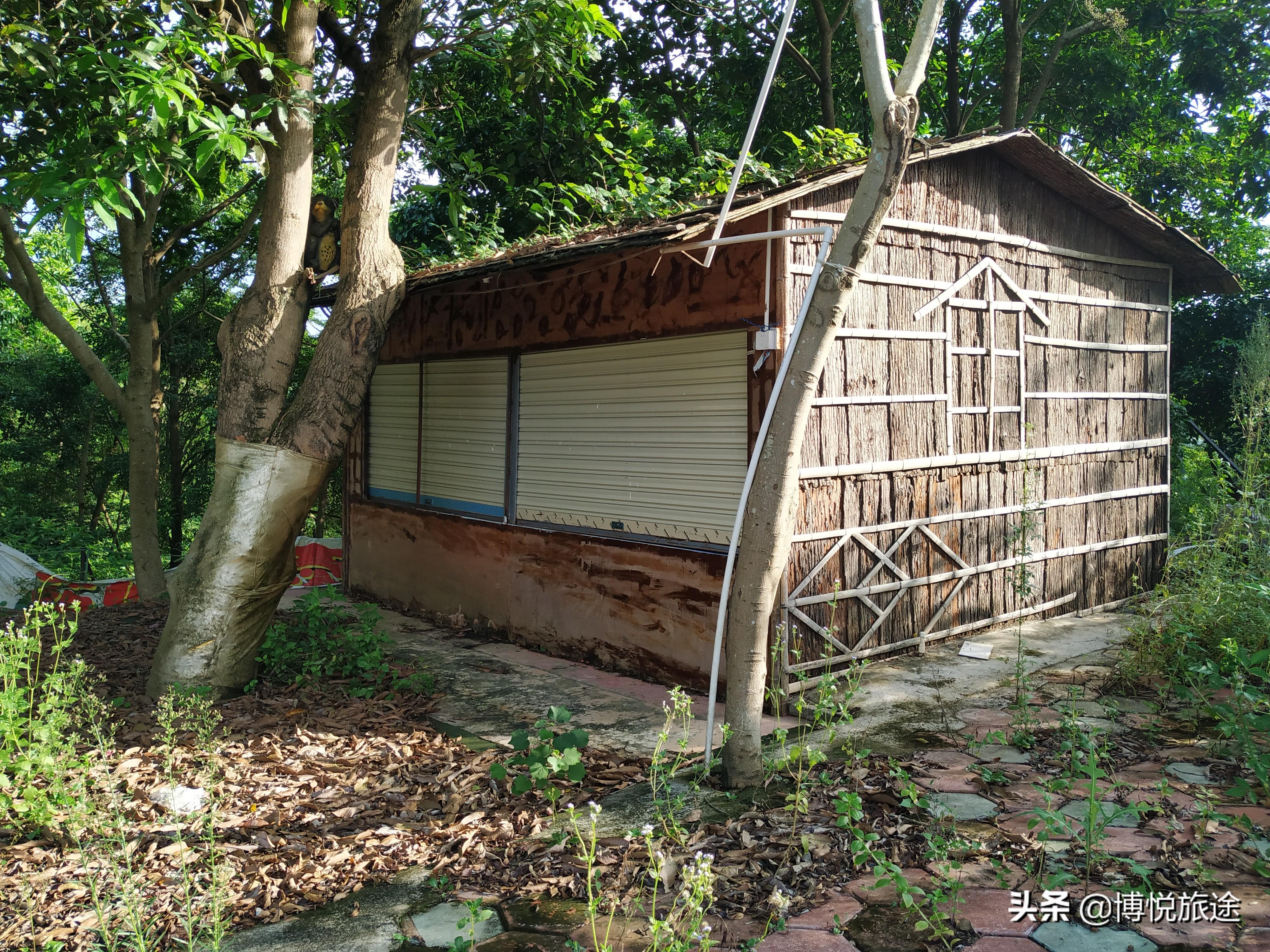 揭秘香港罗定花仙谷乐园规划，精准资料与未来展望（2023年），揭秘香港罗定花仙谷乐园规划，最新资料与未来展望（2023）