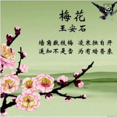 香港资料公开免费大全与四字梅花诗的魅力，香港资料公开免费大全与梅花诗韵的魅力