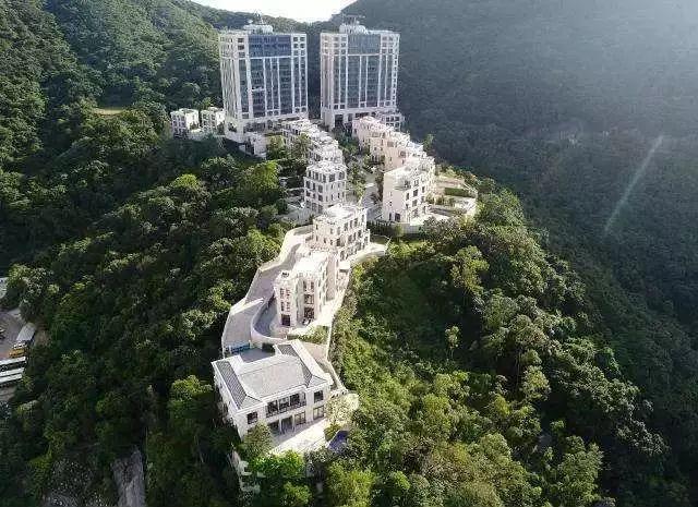 2020年香港资料大全第23期概览，香港资料大全第23期概览 2020年版