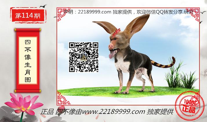 精准兼备