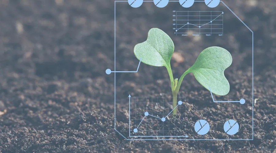探索香港草药奥秘，2025年全新免费资料揭示哪些草药能治愈伤痛，探索香港草药奥秘，全新免费资料揭示治愈伤痛草药秘籍（2025年）