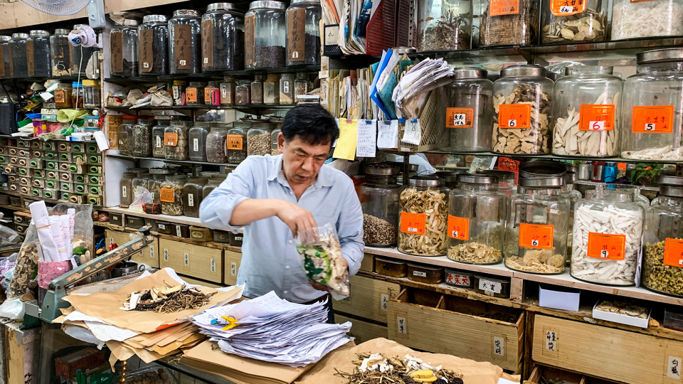 探索香港草药文化，寻找治愈之道的秘密与免费资料的机遇（2025年展望），探索香港草药文化，治愈秘密与免费资料机遇（展望2025）