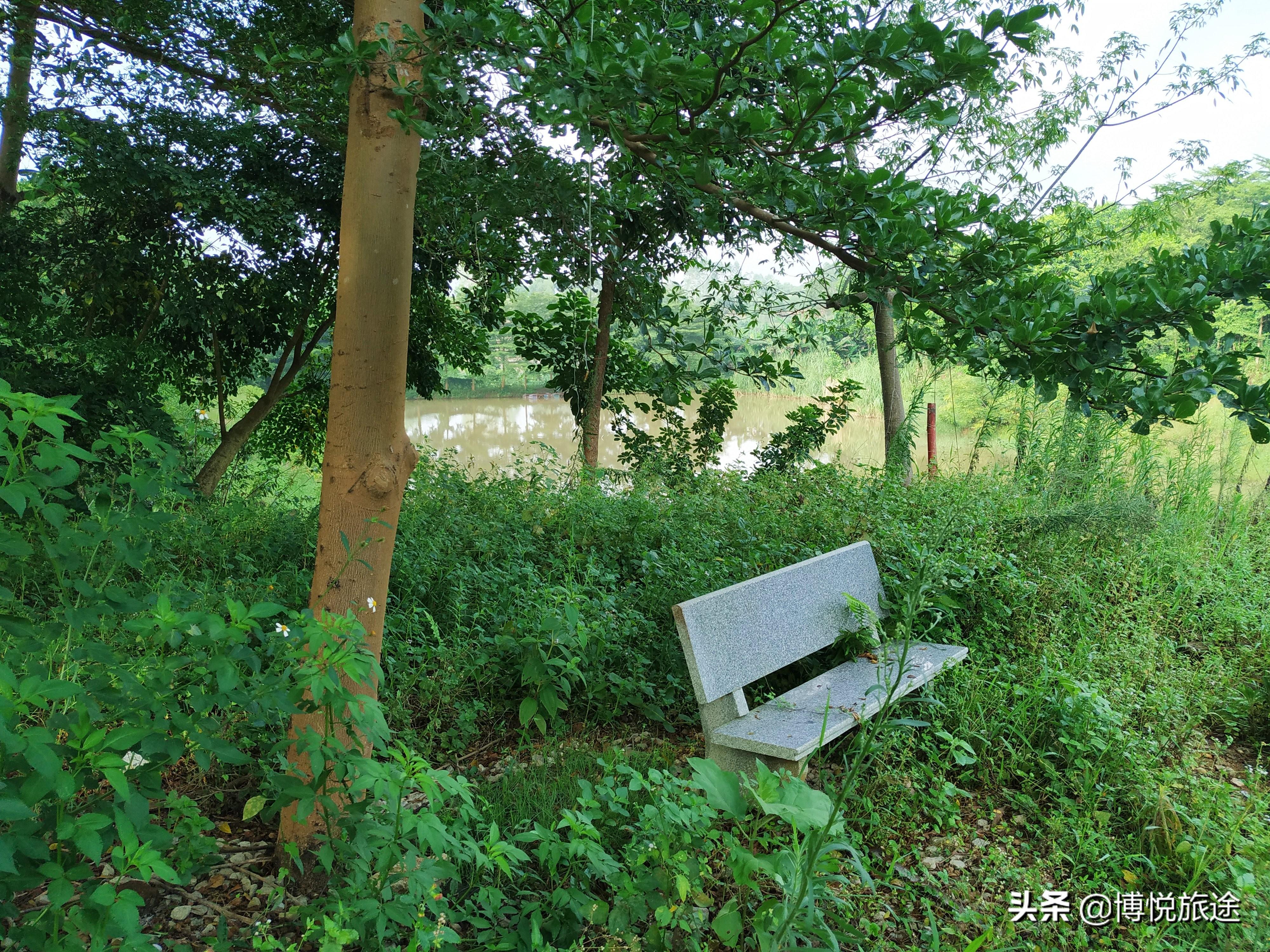 香港罗定花仙谷乐园规划，迈向未来的精准设计与展望，香港罗定花仙谷乐园规划，迈向未来的设计与展望