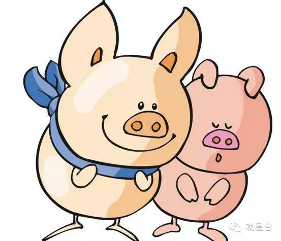 官网开奖时间