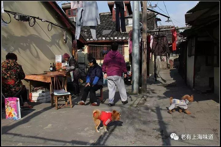 香港六合和彩官网开奖网站最新查询，透视彩票业的繁荣与机遇，香港六合和彩官网开奖网站最新查询，彩票业繁荣与机遇透视