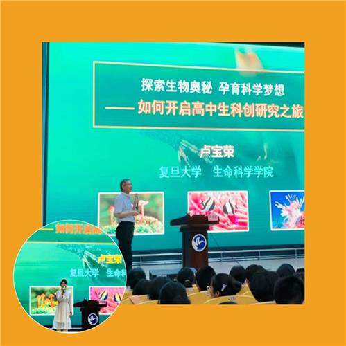 新奥2025正版资料大全，探索最新版本的奥秘，新奥2025正版资料大全，揭秘最新版本的奥秘