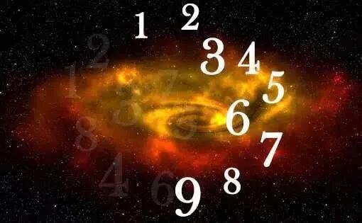 一肖一碼，探索数字与生肖的神秘联系，生肖与数字神秘联系揭秘，一肖一碼探索之旅