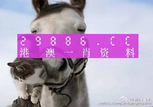 澳门一肖一码精准预测，揭秘未来的幸运密码（2023年），澳门精准预测一肖一码揭秘幸运密码（2023最新版）