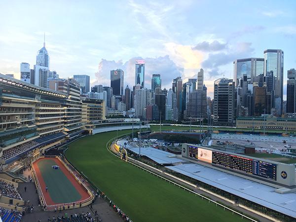 揭秘香港彩票开奖结果网站——探索彩票世界的最新动态与资讯，揭秘香港彩票开奖结果网站，最新动态与资讯一览