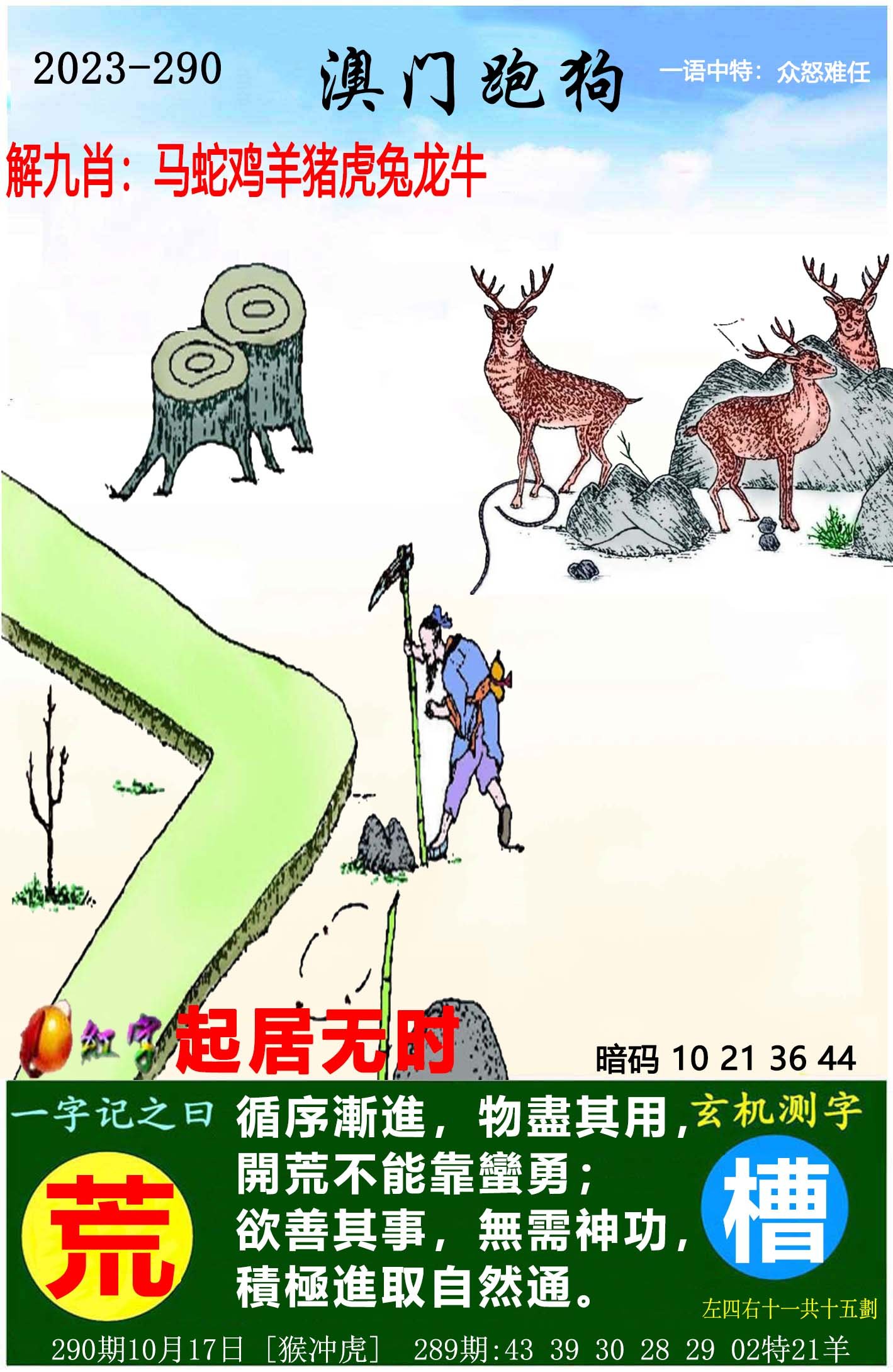 探索澳门跑狗图的历史与变迁，关键词解读下的独特视角，澳门跑狗图的历史演变与独特视角解读关键词