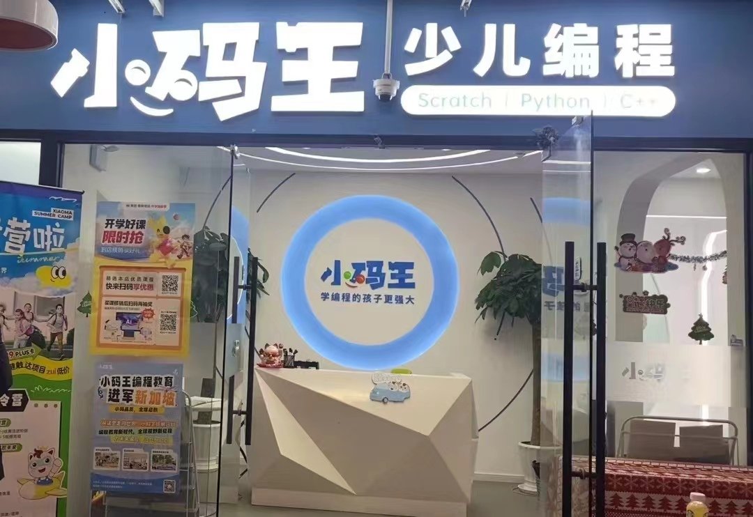 抓码王，一位编程巨匠的传奇人生，编程巨匠传奇人生，从抓码王到传奇人物之路