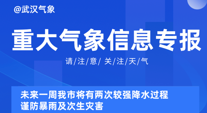 探索管家婆四期必出三期资料背后的秘密，揭秘管家婆四期必出三期资料的秘密