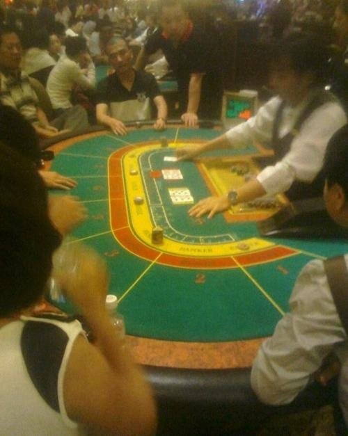 澳门彩今晚必中一肖一码，揭秘彩票背后的秘密，揭秘彩票背后的秘密，澳门彩今晚必中一肖一码揭晓！