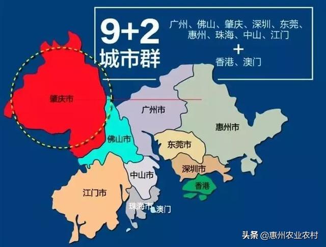 新澳门2025年夭夭好彩——繁荣与活力的展望，澳门展望2025，繁荣与活力的夭夭好彩之路