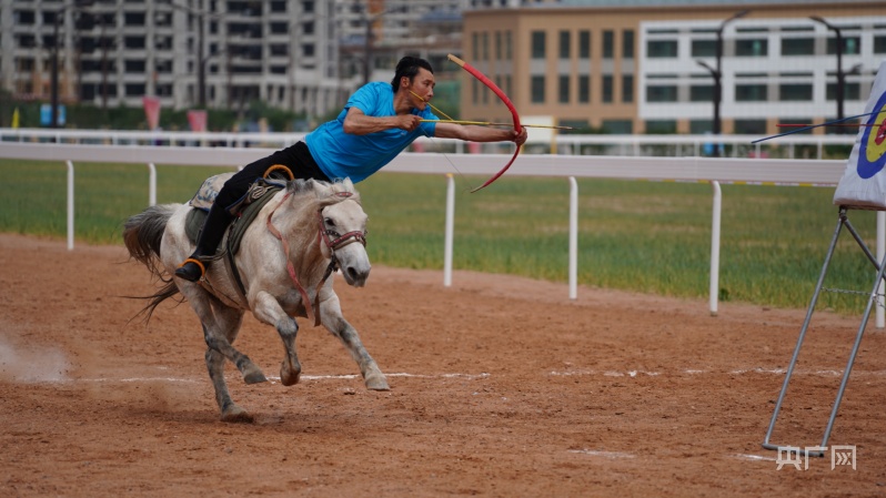 香港马会开奖结果直播，实时体验赛马运动的激情与魅力，香港马会实时开奖直播，体验赛马运动的激情与魅力