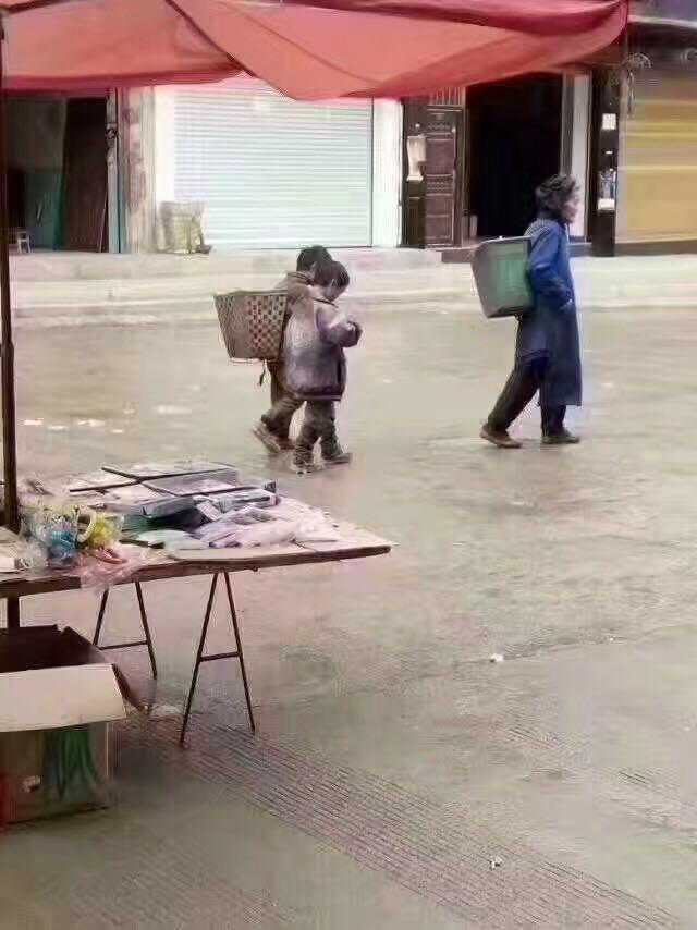 天下水果奶奶的免费资料宝库，一份甜蜜的传承，天下水果奶奶的甜蜜宝库，免费资料传承的甜蜜记忆