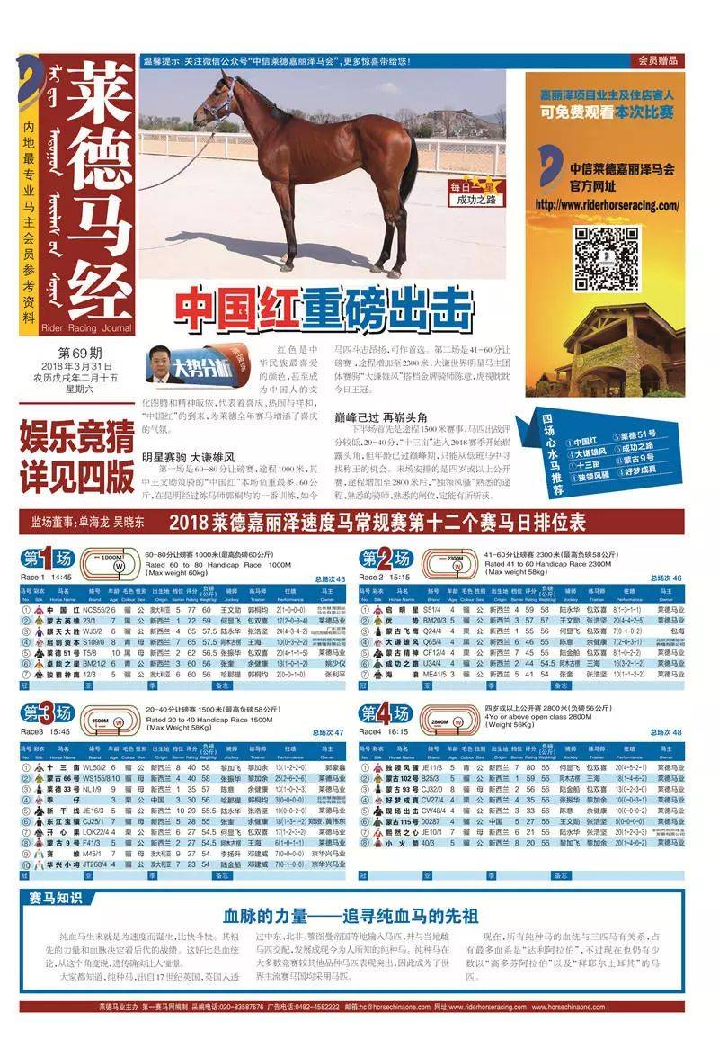 揭秘2019年马会免费资料，获取途径与实用指南，揭秘2019年马会免费资料获取途径与实用指南