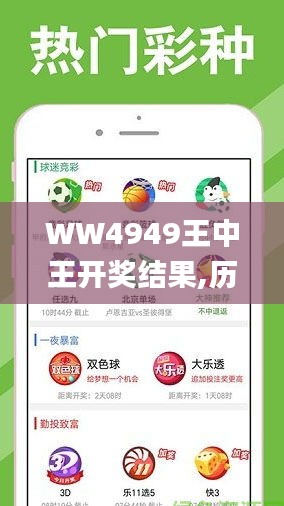 探索WW4949王中王的独特魅力，WW4949王中王，独特魅力的探索
