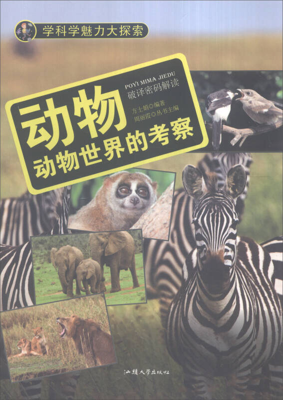 探索正版四不像图的世界，2018年每期独特魅力解析，探索正版四不像图的独特魅力，每期深度解析 2018年回顾