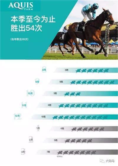 香港赛马会，回顾与分析2019年赛马开奖记录与结果，香港赛马会2019年赛马开奖回顾与结果分析