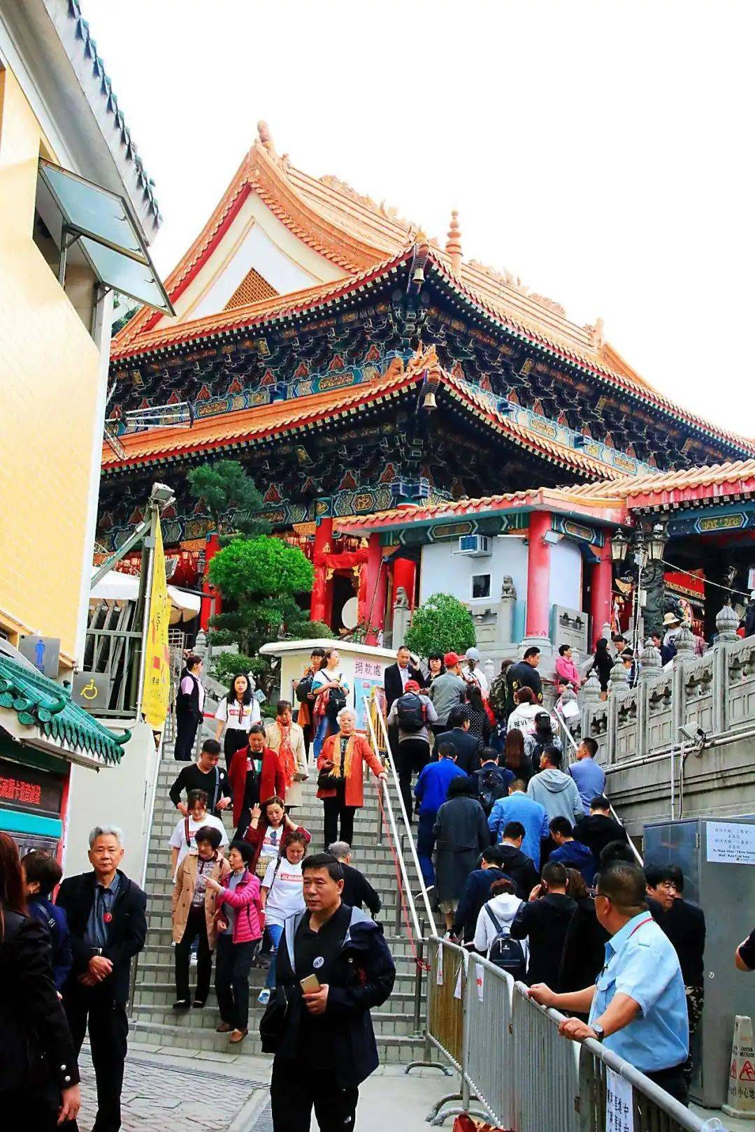 香港马黄大仙资料详解，香港马黄大仙资料全方位解析