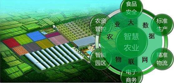 农夫论坛，农业智慧与乡村发展的交流平台，农夫论坛，农业智慧与乡村发展的交流高地