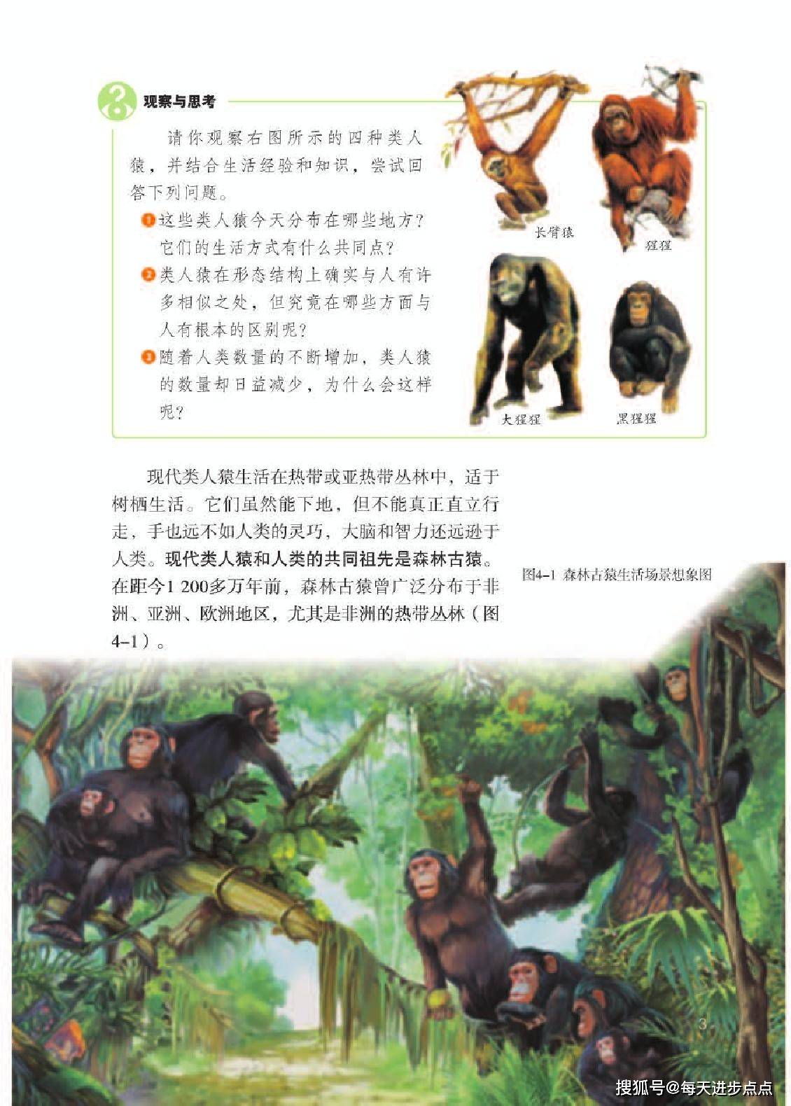 探索新跑狗高清跑狗图彩图的世界，探索跑狗高清彩图世界，新跑狗图彩图揭秘