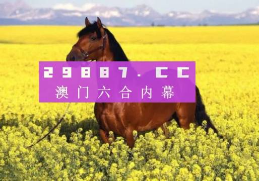 新奥六开彩资料2023年全新解析，新奥六开彩资料2023年全面解析揭秘