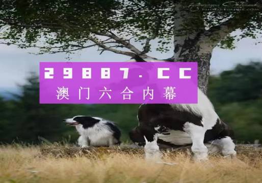 澳门澳彩大全，探索6269数字的秘密与澳门的魅力（2022年最新版），澳门澳彩大全揭秘，探索数字秘密与魅力（2022最新版）