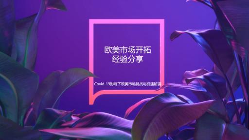 天下彩9944CC，探索彩图资讯的奥秘，更多赢的策略，天下彩9944CC，彩图资讯奥秘探索与赢的策略分享