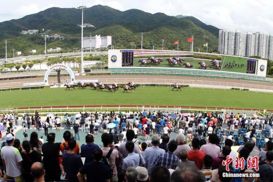香港马会资料大全2018，赛马运动的魅力与全方位解读，香港马会资料大全2018，赛马运动的魅力与全面解读