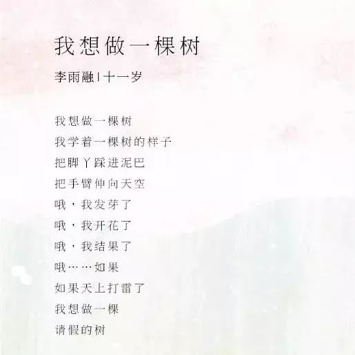 白小姐449999精准一句诗，探寻智慧与美丽的交融，白小姐精准诗语，智慧与美丽的交融探寻
