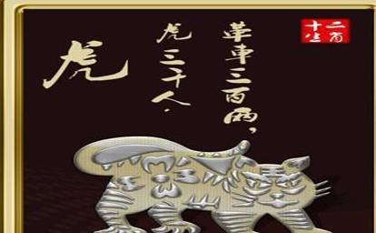 一念之差，揭秘神秘生肖，一念之差，探寻神秘生肖之谜