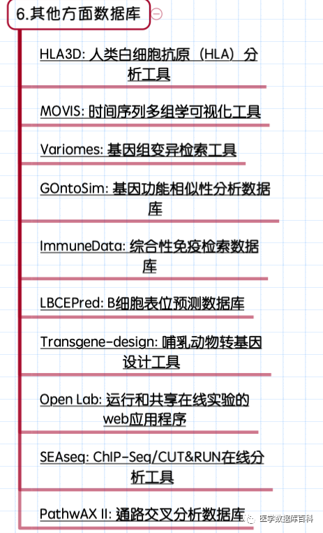 澳门六下彩金牛版2022的优势分析预测汇总，澳门六下彩金牛版优势分析预测汇总（2022版）