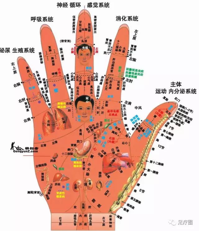 澳门六宝合典大全图片高清大图最新版本详解，澳门六宝合典大全高清图片最新版详解