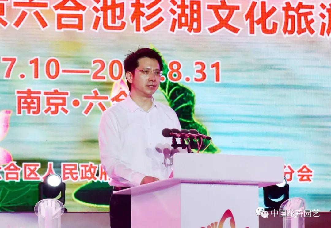 澳门六宝合典大全302期图片及价格一览表最新，收藏与鉴赏的热门话题，澳门六宝合典大全最新302期，图片、价格及收藏鉴赏指南