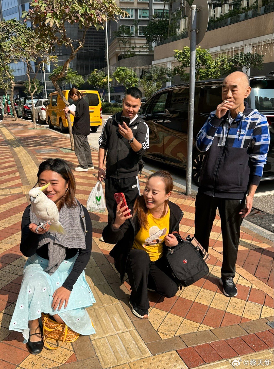 澳门六叔公高手论谈，最新视频播放网站的探讨，澳门六叔公高手论谈，最新视频播放网站的深度探讨