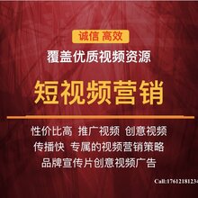 澳门六叔公高手论谈，深度解析视频播放、下载与安装全攻略，澳门六叔公高手论谈，视频播放、下载与安装全攻略深度解析