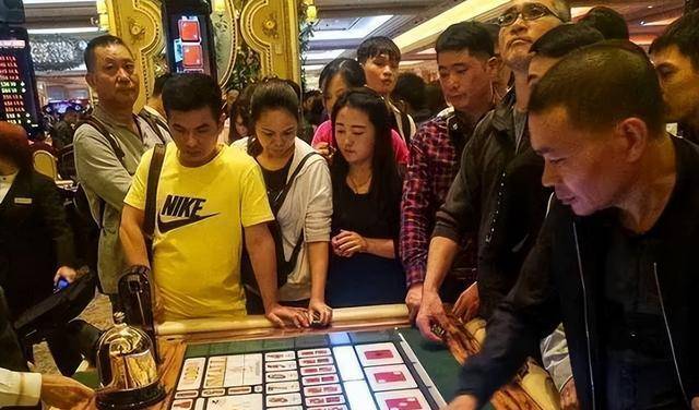 澳门六叔公高手论谈视频全部过程详解最新，澳门六叔公高手论谈视频全过程详解，最新揭秘与分析