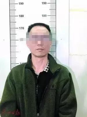 澳门六肖王小胖的身份揭秘，视频、图片大全集，澳门六肖王小胖身份揭秘，视频图片全集汇总