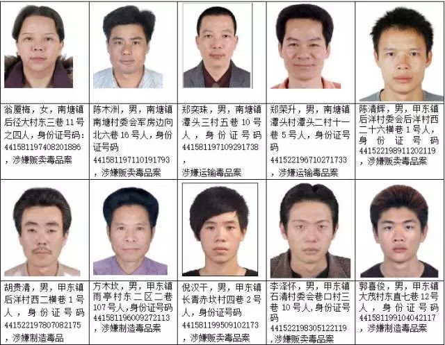 澳门六肖王小胖的真实身份与视频解析全貌，澳门六肖王小胖的真实身份揭秘与视频全面解析