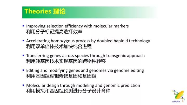 澳门六肖王小胖的身份与理论依据探究，澳门六肖王小胖身份揭秘与理论依据探究